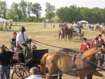 Remise des prix 