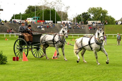 Remise des prix 