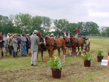 Remise des prix Suzanne Mauguin