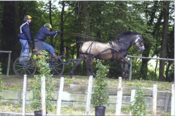 Le 15 sur le marathon dans l'obstacle 5 la butte